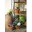 Wooden Greenhouse Nursery & PE Cover (FSC 100%)-36246782