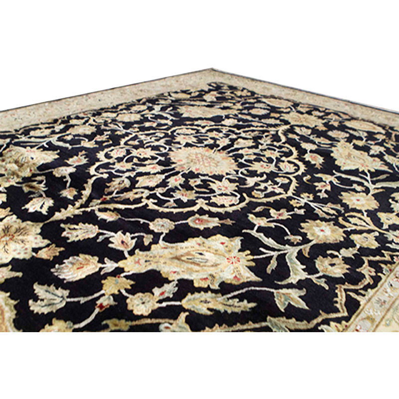 Dharma Hand Knotted Oriental Area Rug