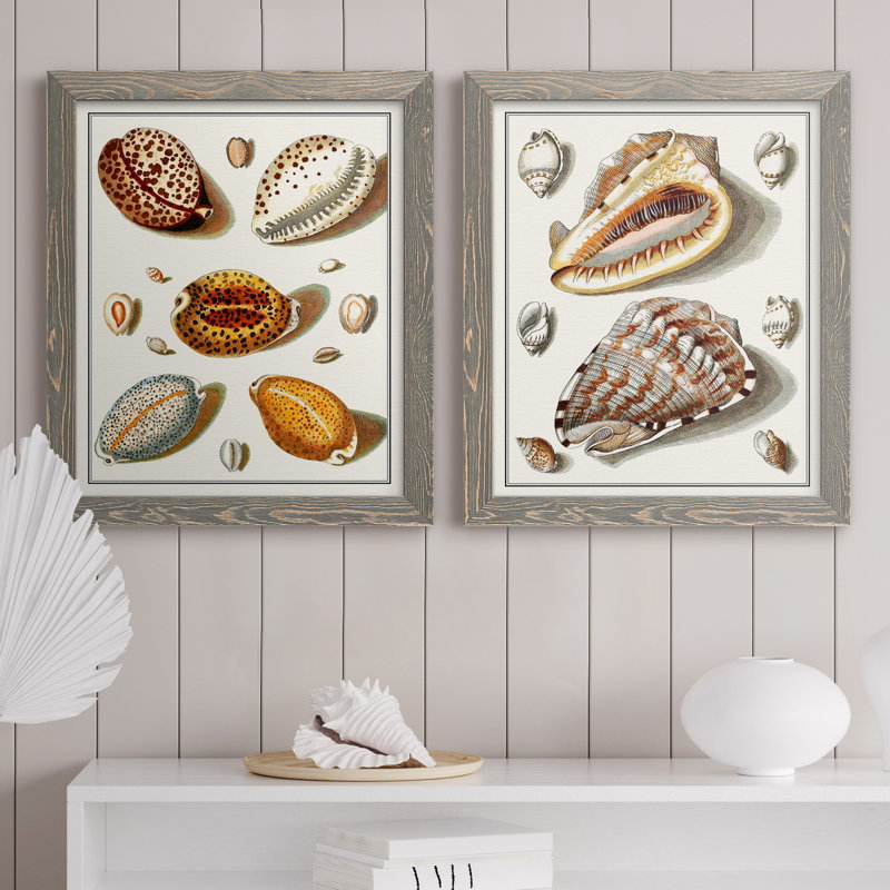Collection de coquillages III - ensemble de 2 reproductions d'art sur toile, H 20 po x l 17 po x P 1 po