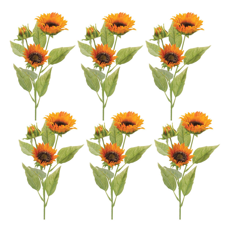 Jet d'automne tournesol