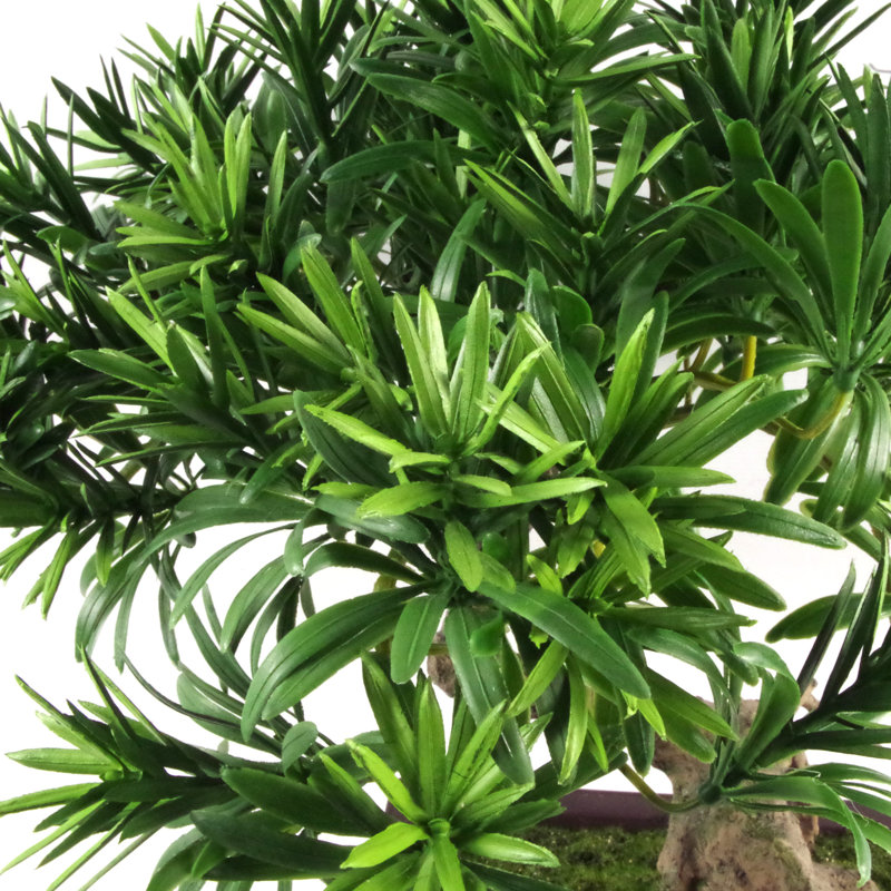 Anlin 40cm Faux Bonsai Tree in Pot