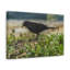 «Blackbird Hunting Blackbird on Hunt», reproduction d'art mural-723450857