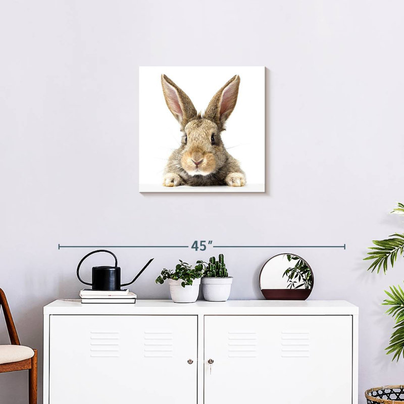 Crowle Fluffy Easter Rabbit, H 20 po x l 20 po