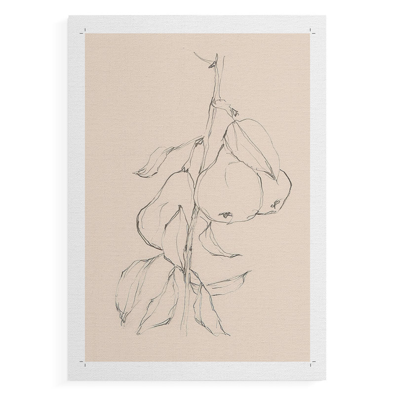Fruit Contour Study II - Impression sur toile seulement - NON-CADRE, H 18 po x l 12 po