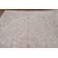 Tapis de salon traditionnel 6 x 10