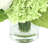 Ranuculus, Hydrangea and Grass Arranged in a Glass Vase