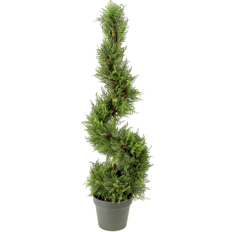 Topiaire de buis 36 po en pot