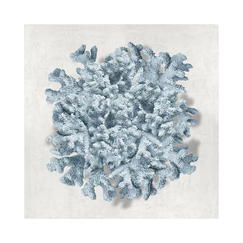Caroline Kelly - Wrapped Canvas Gallery-Wrapped Canvas Giclée, 93.98 cm H x 93.98 cm W