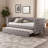 Sacoyia Upholstered Daybed
