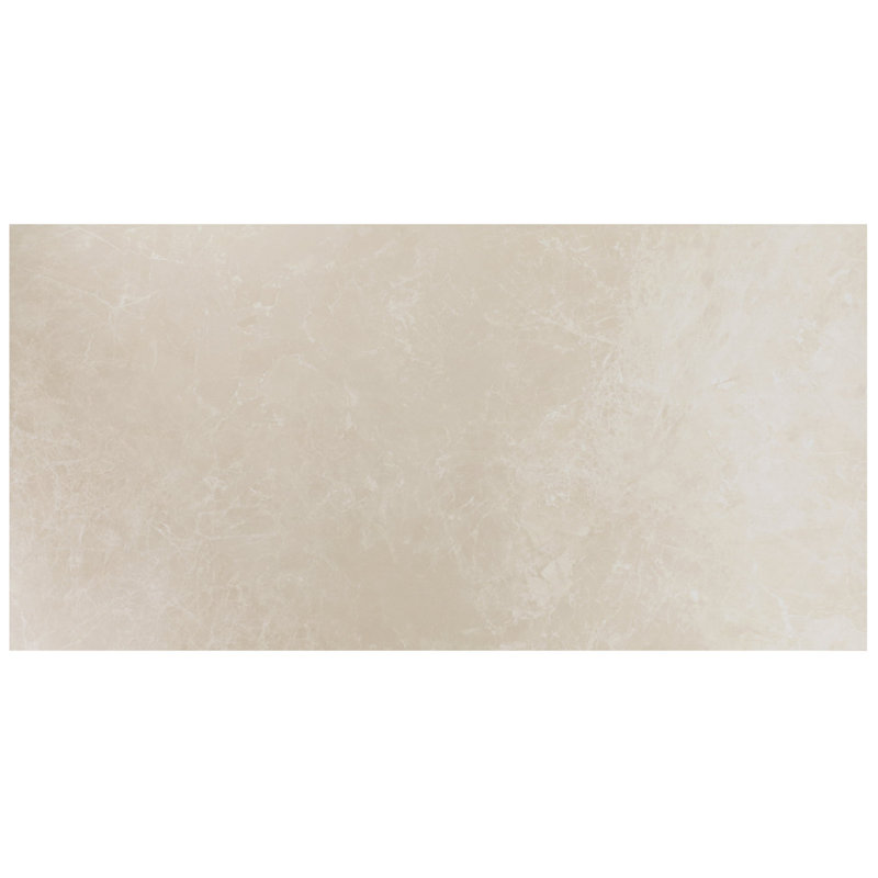 Palazzo 24x48 Semi-Polished Porcelain Tile