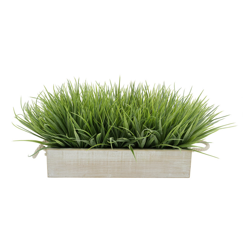 Herbe d'oignon artificielle en pot, Blanc, H 10 po x l 21 po x P 10 po, Vert pâle