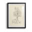 Wooded Path II - reproduction de cadre photo-1301898072-1301898087