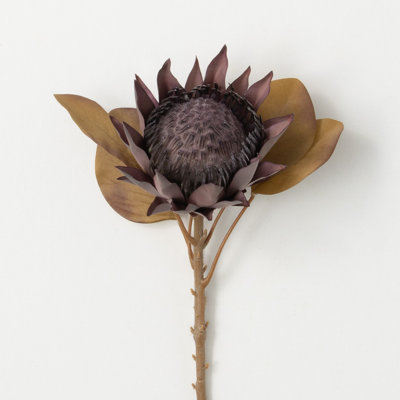 Bartlett Protea Arrangement