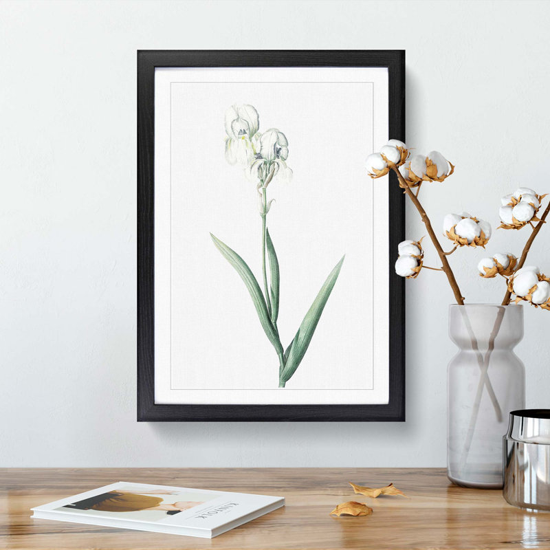 Tall-Bearded Iris by Pierre-Joseph Redoute - Picture Frame Art Print, 36cm H x 27cm W x 2cm D, Black Framed