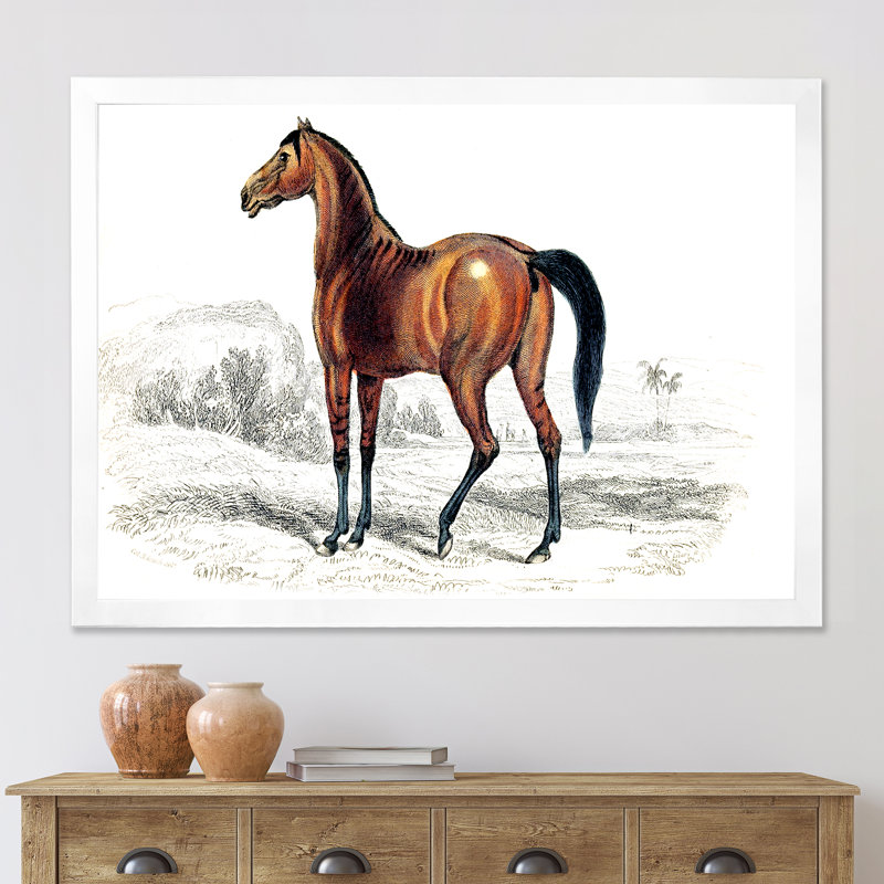 Cheval rétro - peinture sur toile, H 30 po x l 40 po x 1,5 po, Cadre photo blanc
