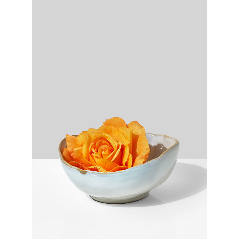 Xanthe Ceramic Decorative Bowl