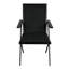 Henderson Upholstered Arm Chair