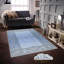 Luxueux tapis tissé imprimé en 3D, 55,1 po x 86,6 po | 100% polyester, antibactérien, lavable à la machine | Pois en feutre antidérapant en PVC, d'une hauteur de poils de 0,3 po | Parfait pour le salon, la chambre à coucher et la décoration intérieure-1219633851