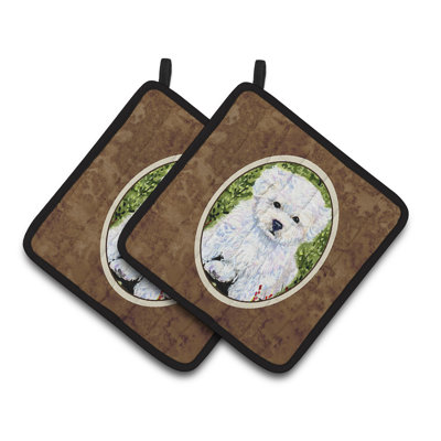 Manchon Bichon frisé Winston porter