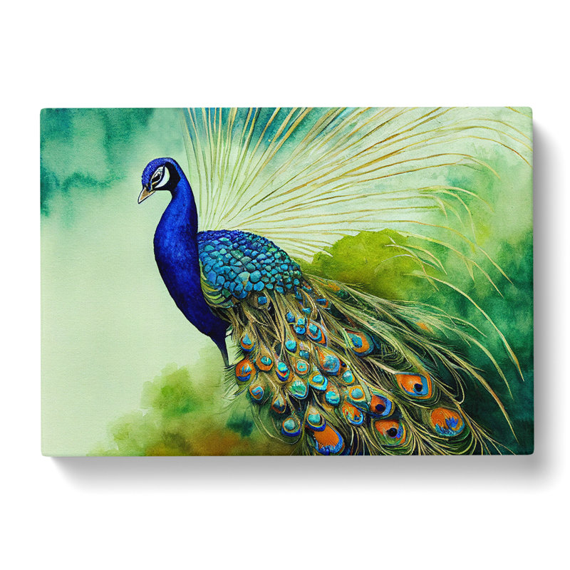Peacock - Wrapped Canvas, 35cm H x 50cm W x 3cm D