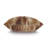 Fossil Abstract Throw Pillow