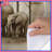 Forest Elephant Bedding-1625861761