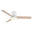 Ventilateur de plafond 48 po avec lumière Lowe-243631776