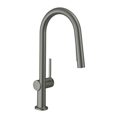 Hansgrohe Talis N A-Style Pull-Down Faucet