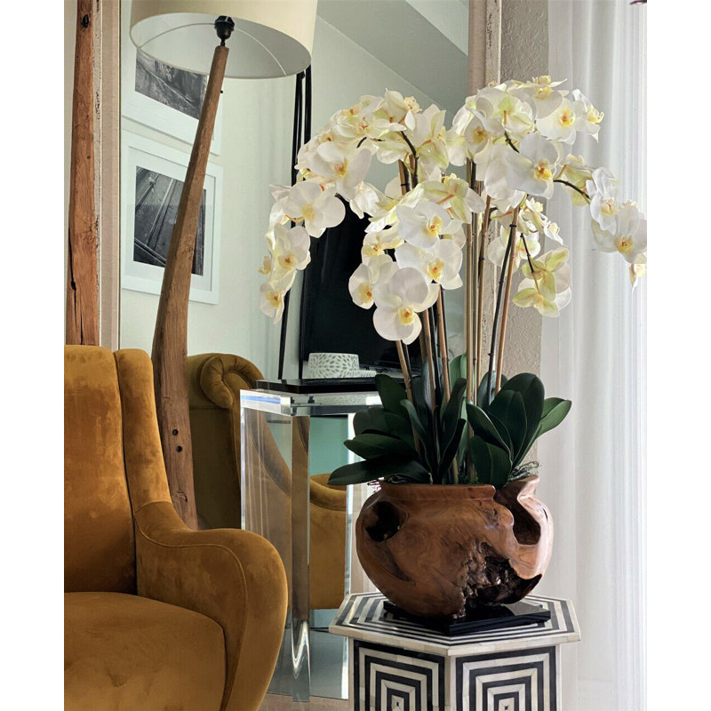 Orchid Floral Arrangement in Planter