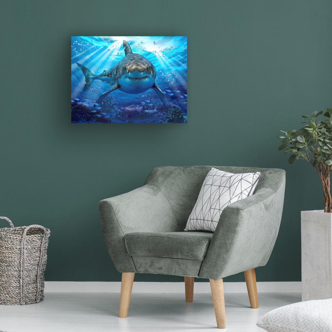 Modern & Contemporary Beachcrest Home™