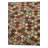 3x5 Peter Multi Rug