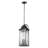 Newson 3 Light Outdoor Hanging Lantern-23059268