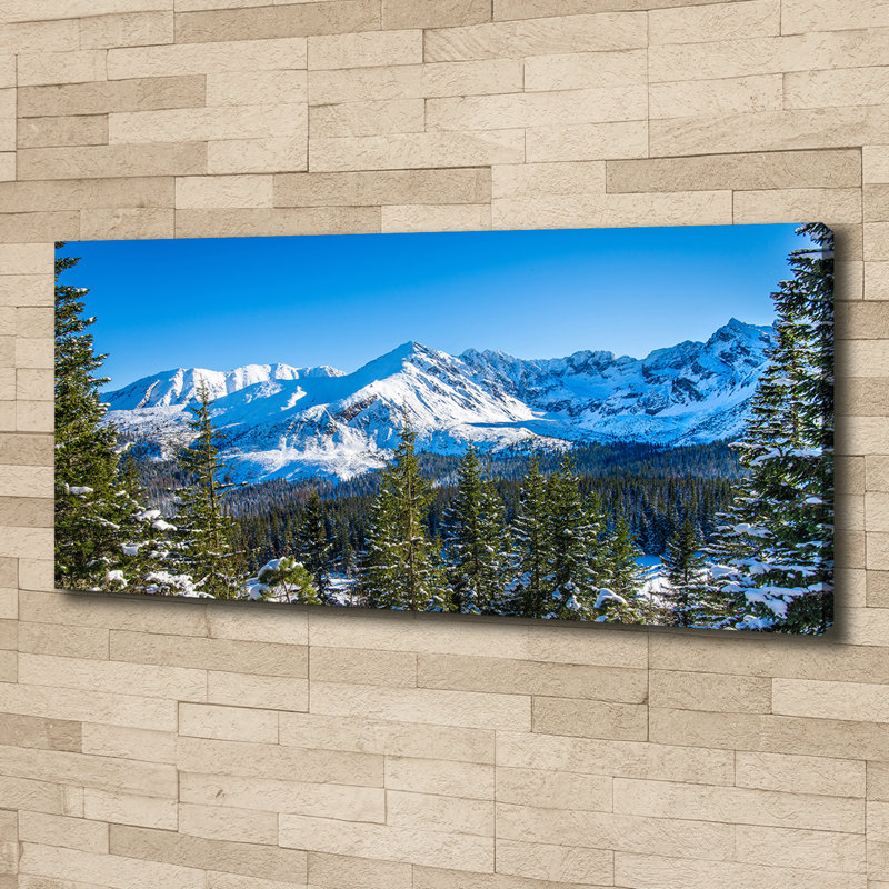 Panorama of the Tatra Mountains 1 Piece Wall Art on Canvas