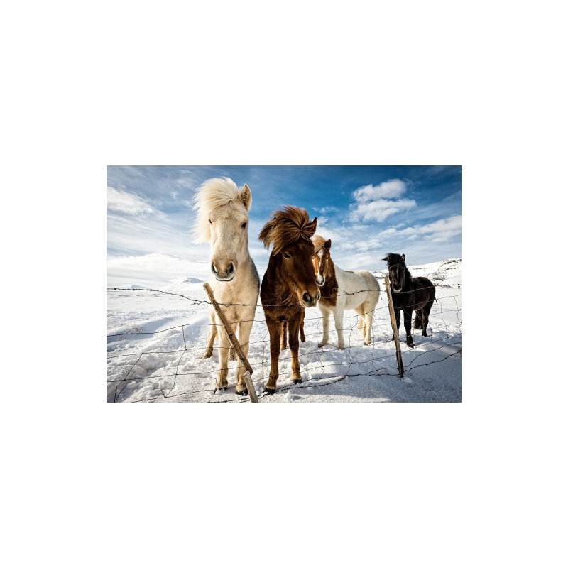Wrapped Canvas Print, 50.8 cm H x 76.2 cm W