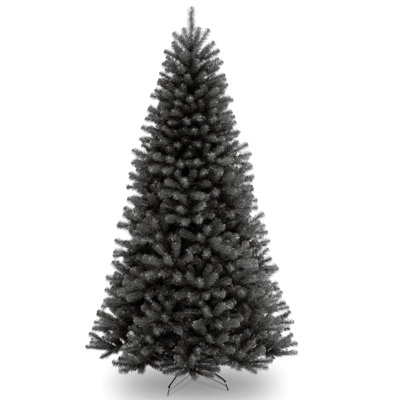 Black Spruce Tree