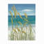 Art sur toile Roro Tim O'Toole «Ua Ch Summer Breeze I»-87944591