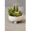 24cm Faux Succulent in Ceramic Pot
