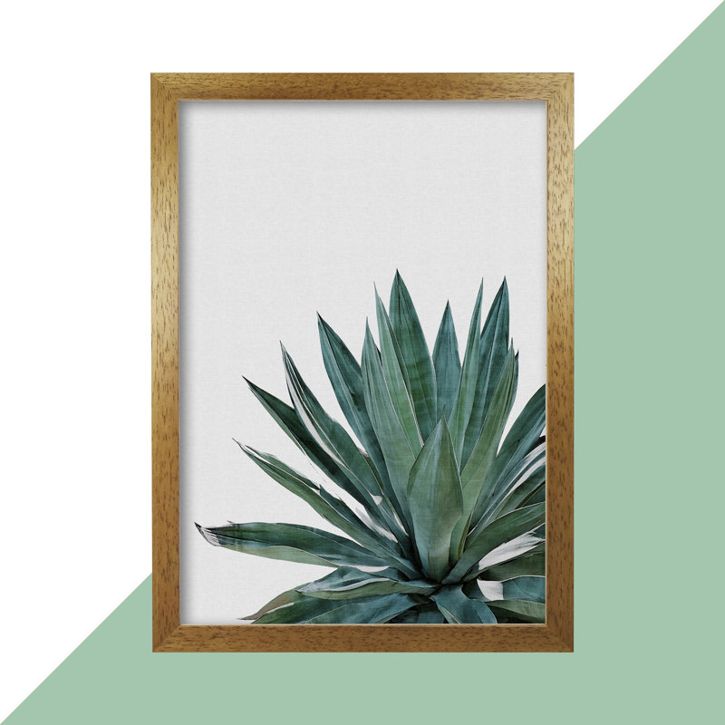 Agave Cactus - Print, Honey Oak Frame, 85 cm H x 60 cm W x 5 cm D