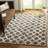 Coreatha Martha Stewart Viscose Geometric Rug-17240881