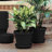 Terra Traditional Plastic Indoor/Outdoor Pot Planter-706139605-759619941