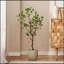 Bonsai artificiel 120 feuilles-196483729