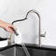 Belfry Kitchen Galewood Pull Out Kitchen Faucet