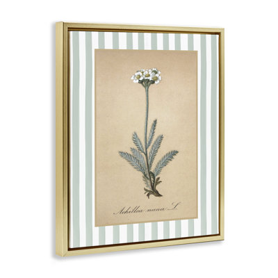Cadre flottant Wild Herb avec rayures vertes, design avec lettres et doublure