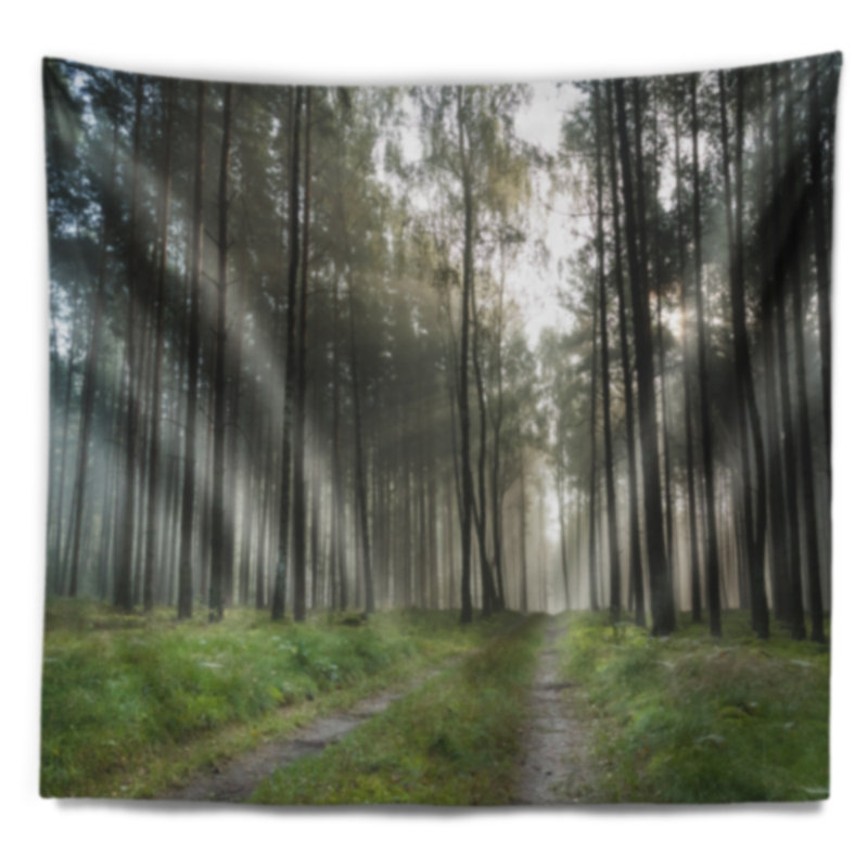 Sentier dans la forêt brumeuse au coucher du soleil tapisserie, H 50 po x l 60 po