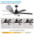 65 Inch Black Ceiling Fan With Light