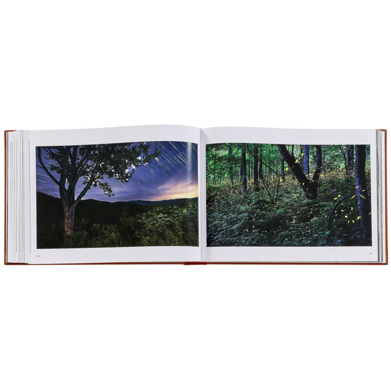 Graphic Image Treasured Lands, CoffeeTable Book, Leather, Tan