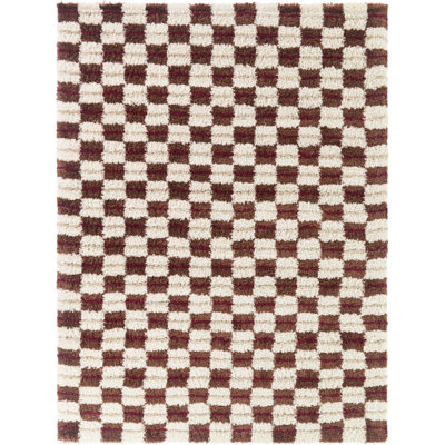 Uribe Rust Modern Checkered Shag Area Rug