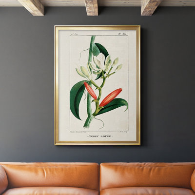 " Turpin Tropical Botanicals IX "