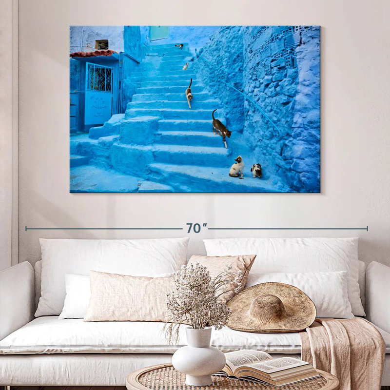Chats Brampt Chefchaouen, H 34 po x l 51 po