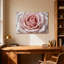Plantes et fleurs, rose, gros plan, motif floral-1562415046